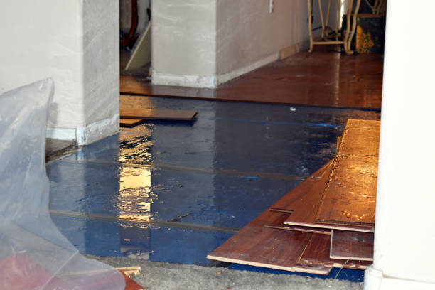 Professional Water Damage Restoration technician working in Metamora, MI